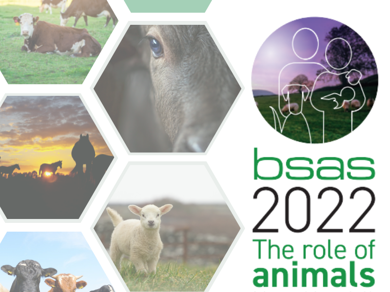 BSAS Conference 2022 Logo