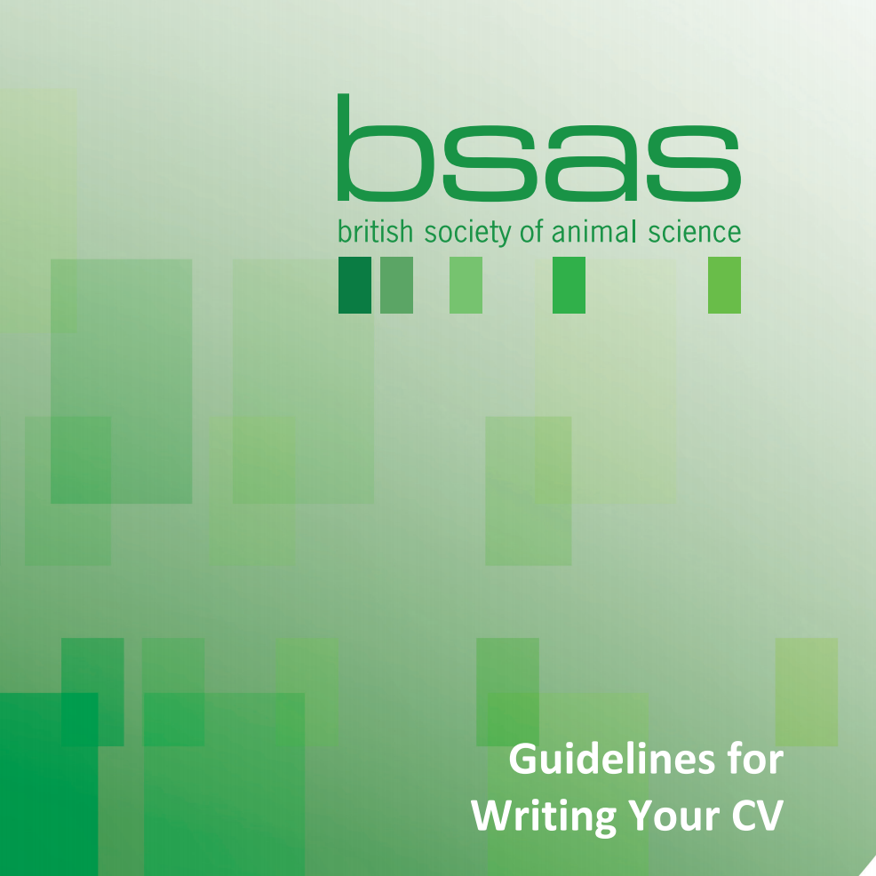 Guidelines for Writing Your CV